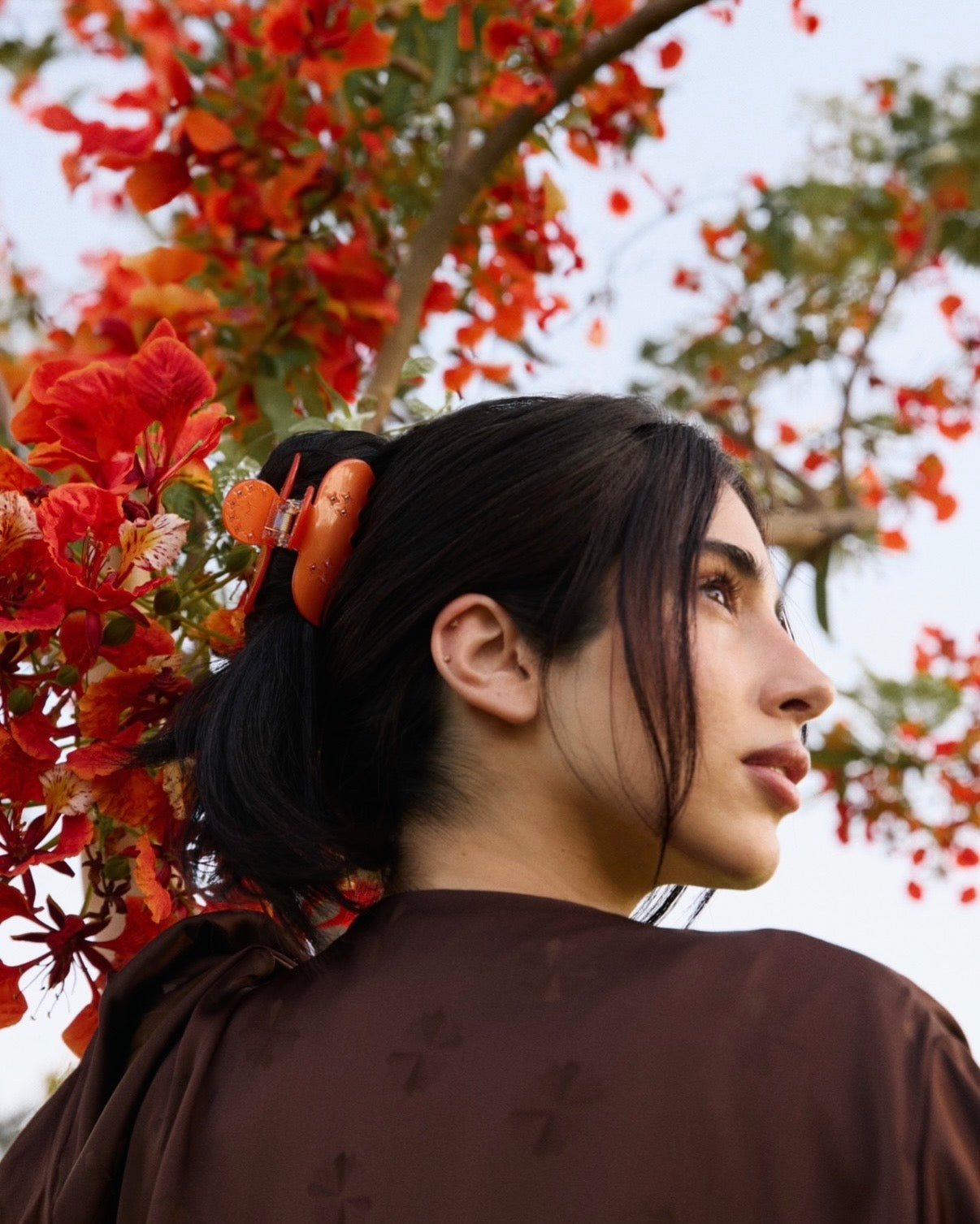 ❁ Flame Tree Season