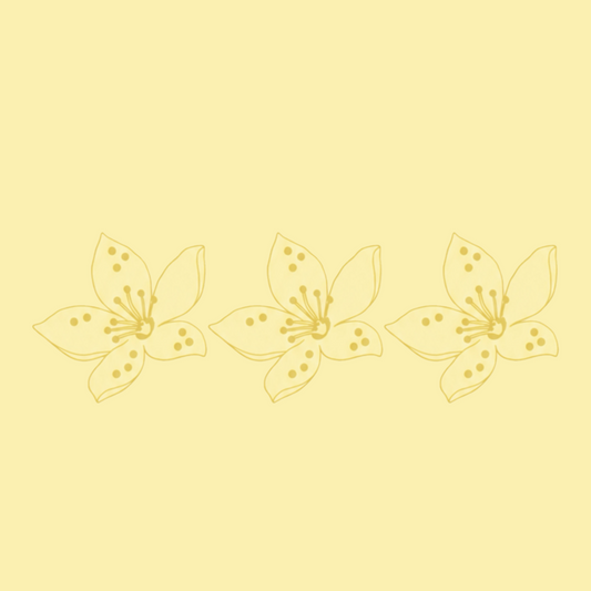 Bloom